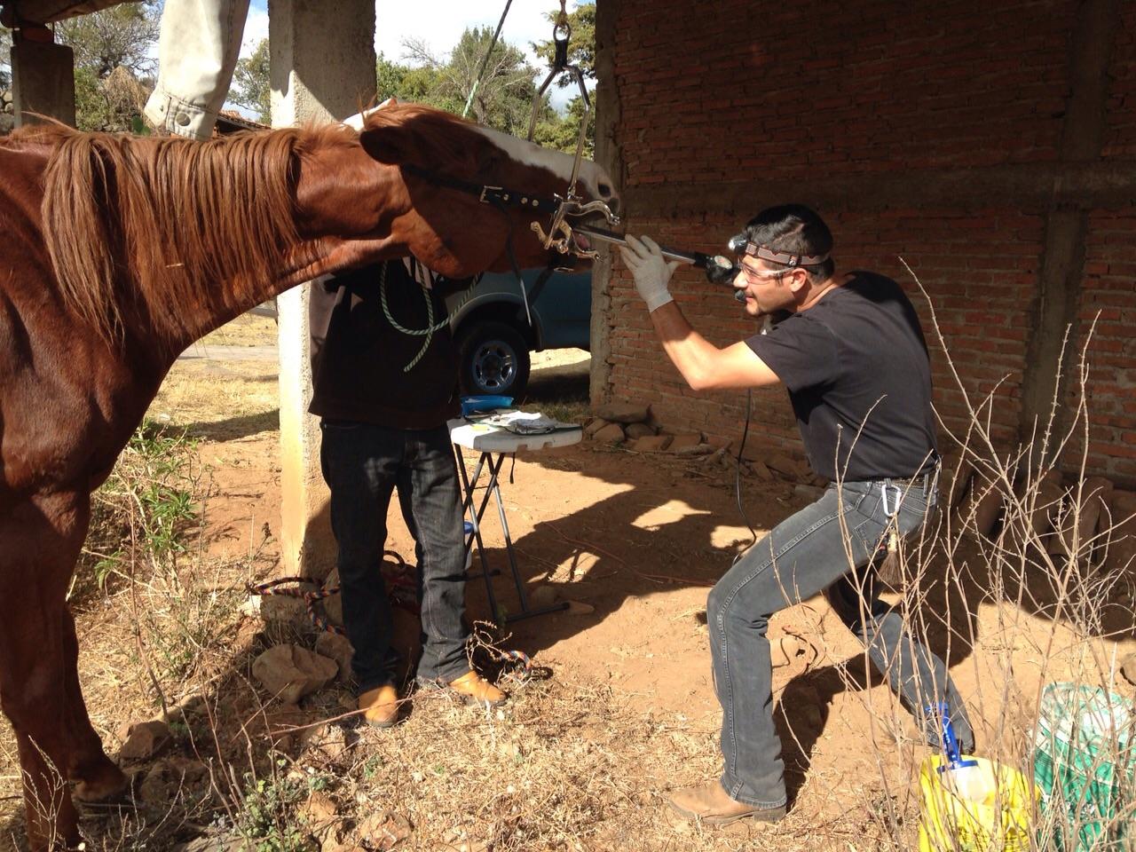 PANCHOAE1's profile picture. 