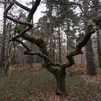 Benjamin Deakin (@benjamin_deakin) 's Twitter Profile