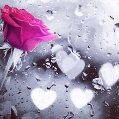 كل م اكتبه وم يعجبني في مفضلتي