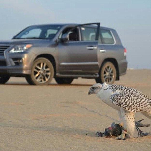 هرجء القفى في غياب ألنآس تآلف ، قلت حيآ وذنوب من دون قيمه ♦✗