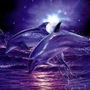 britney ramos - @britney88vivia1 - Twitter