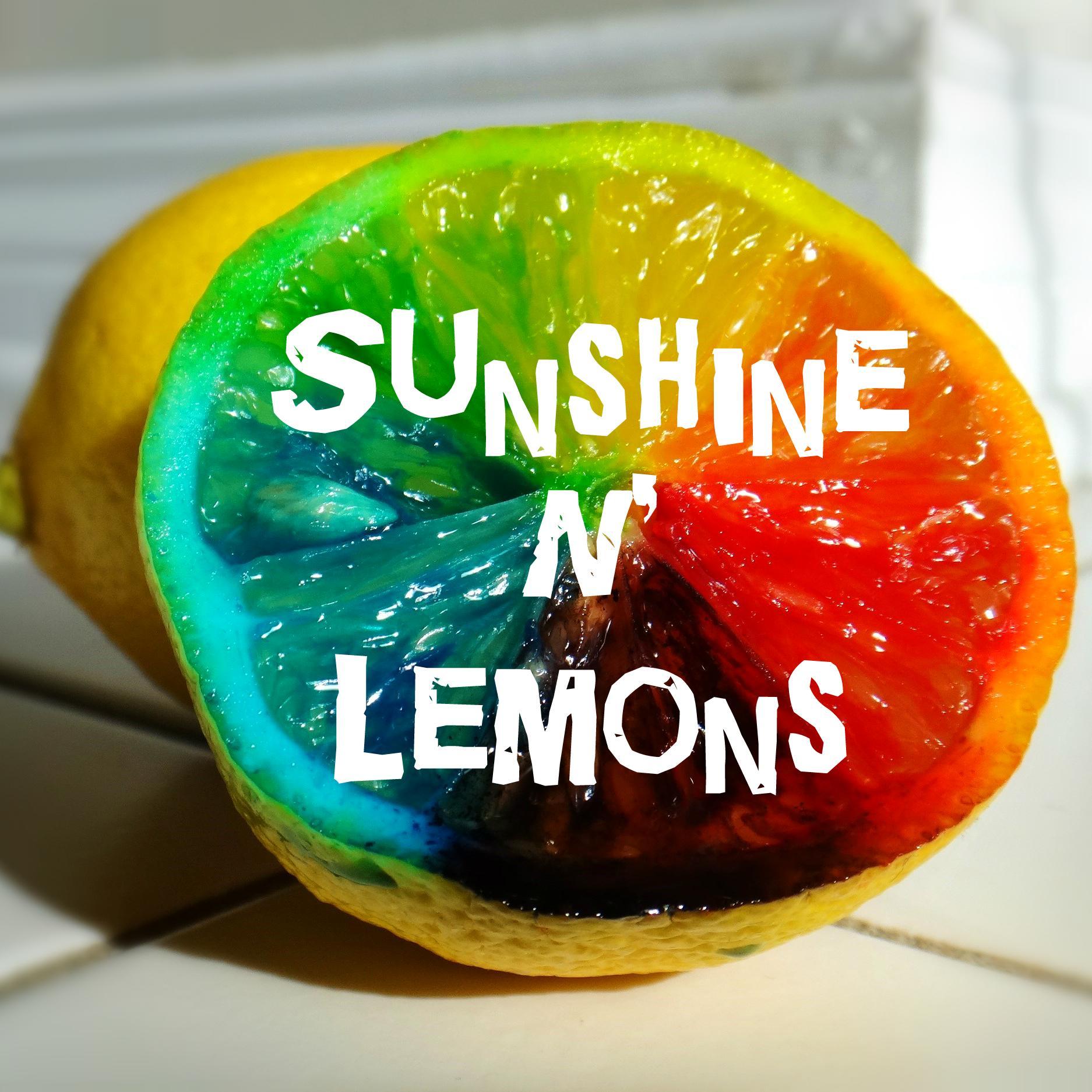 Artist/Creator: @sunshine_lemons. ☀️🍋 Owner: @sunshinel3mon. 🍁♥️🌈❄️