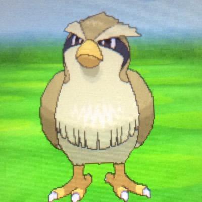 I'm a New YouTuber! Mind Checking Out My Channel? I Do Pokémon So Yeah Links Below, Thanks! ~ 100 Subscribers?