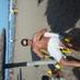 Martin Altamirano (@vmaltamira) Twitter profile photo