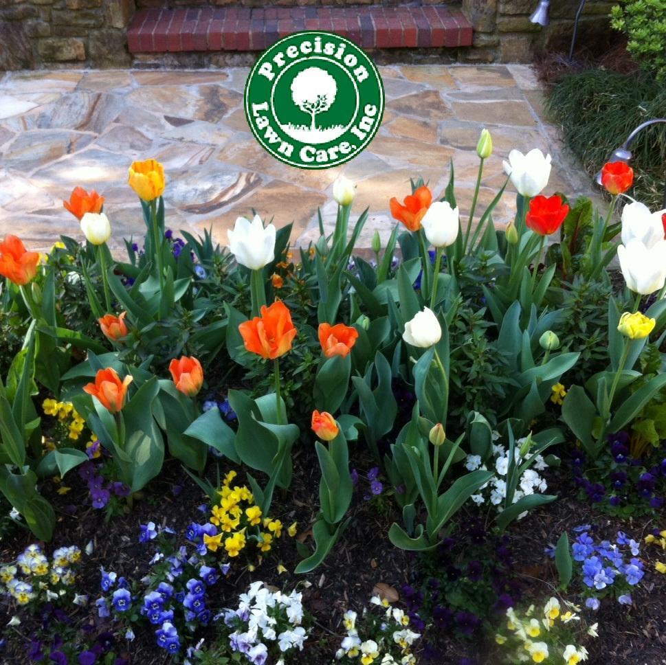 Award-winning lawn care company, proudly celebrating over 20 years in metro Atlanta. 770-979-5171