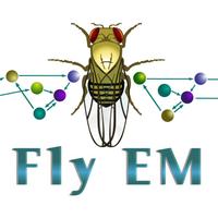 Janelia Fly EM (@janeliaflyem) 's Twitter Profile
