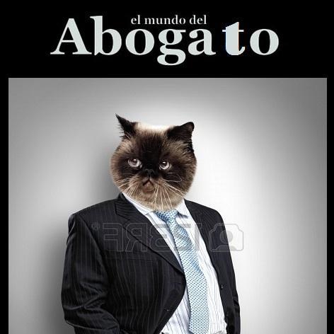 La actualidad jurídica de una nación, donde los Abogatos son el pilar de la sociedad.