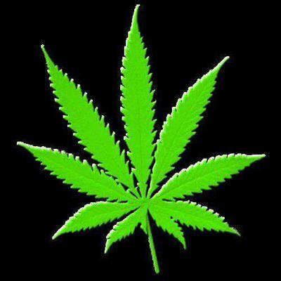 herb_tweet Profile Picture
