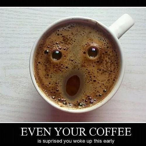 lydon_laconius's profile picture. 