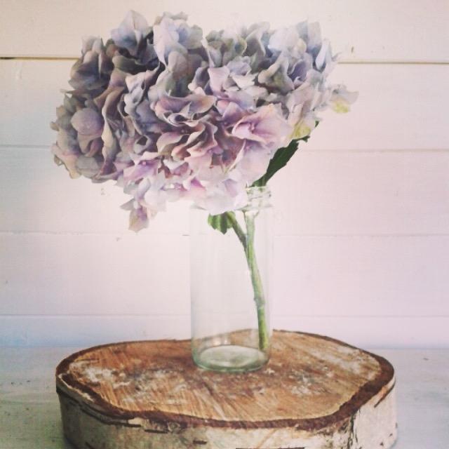 blubellecreate's profile picture. BluBelle Creative design bespoke floral creations for weddings, retail and events as well as providing styling, prop sourcing & installation services