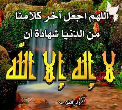 ‏رونق