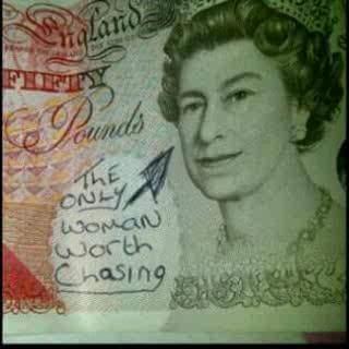 WayneosGym's profile picture. company owner