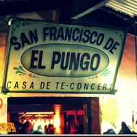 elpungo (@elpungo) 's Twitter Profile