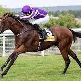 2014Classicguru's profile picture. Horse racing betting selections for the flat, 2yo's in 2015. Also like discussions over the odd footie gamble - Everton's the team. Cheltenham festival fan