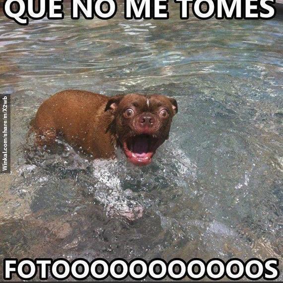 MiguelBraggio's profile picture. 