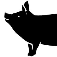 Mallaspossu 🐖 (@mallaspossu) 's Twitter Profile Photo