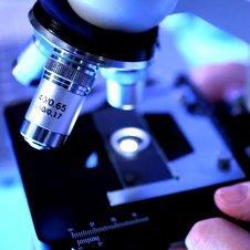 Headquartered in Charlotte, NC, Meridian Laboratory is a premier diagnostic laboratory, specializing in all of your laboratory needs since 2002.