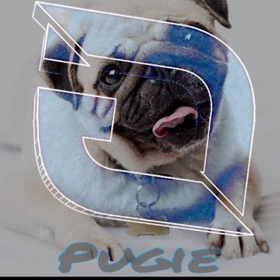 CYT- DemoLegacy | PYT- OhPugie | 
Skype- TehPugie |