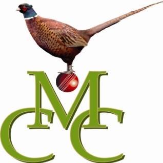 Madehurst Cricket Profile