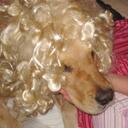 Emma Levine - @gustafergeek - Twitter