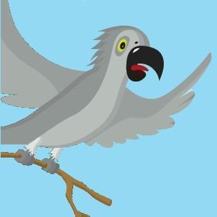 paulietheparrot's profile picture. 