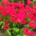 さち (@0131Sach) Twitter