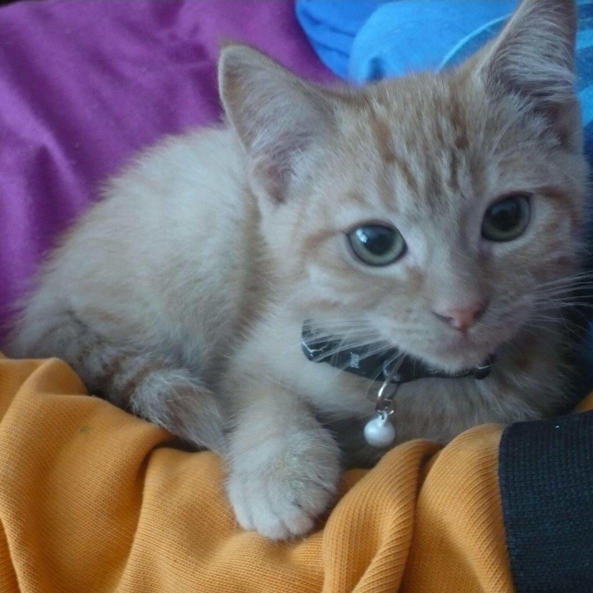 anathursday's profile picture. Has twitter solely to check why the trains are late