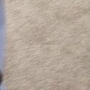 Alex Vance  - @Alexanderfffff - Twitter