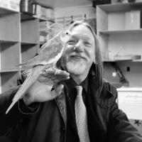 Bruce Leperre (@bleperre) 's Twitter Profile