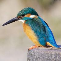 YUKIO☆ (@yukio_itou) 's Twitter Profile Photo YUKIO☆ (@yukio_itou) 's Twitter Profile Photo