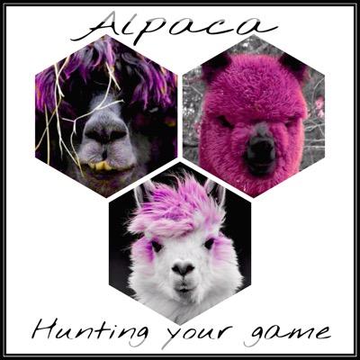 Hello everyone's and welcome to my Twitter ! I'm Alpaca, a gamer since long time and i will show you here all of my feeling ;) do not hesitate to follow!