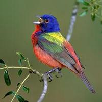 JORGE ROLANDO PELÁEZ RODRÍGUEZ (@jorgerolandopr) 's Twitter Profile Photo