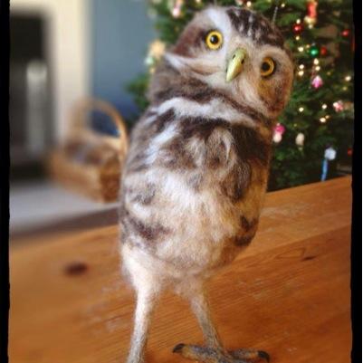 mocochenko's profile picture. 