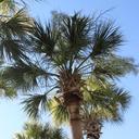 Kelley Callahan - @kycallahan - Twitter