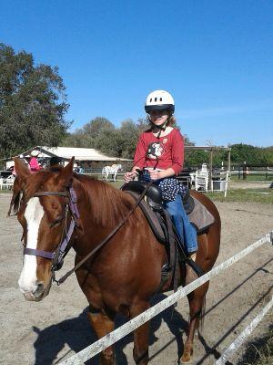 spfileman's profile picture. love my dogs. smokey and jojo and my bff oliva