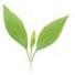 sinofuture's profile picture. Supply natural active ingredients from plant extract.
Email: sinofuture@vip.163.com