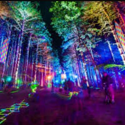 ✌️ Lets ragee on! | Selling tickets for @Dancefestopia at lower prices | DM me | Turn on my notifications |