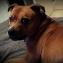 Jayne Turner - @JayneTurnerFT - Twitter