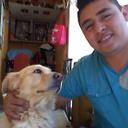 gabriel bravo (@01pavo) Twitter