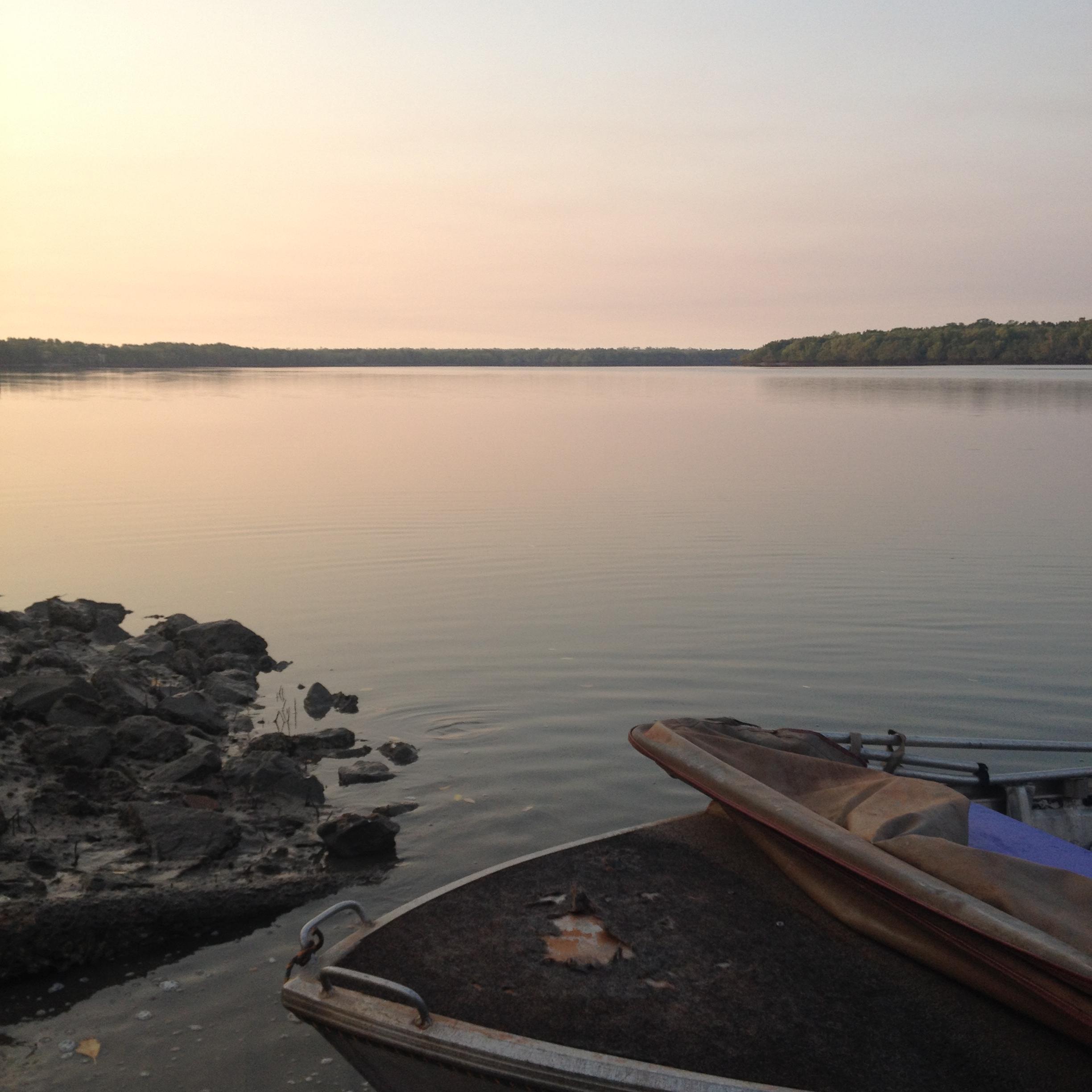 darwinlandscape's profile picture. 