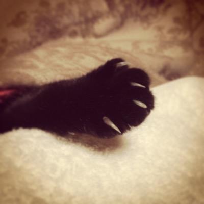 hamtarosa_n's profile picture. あまのじゃく