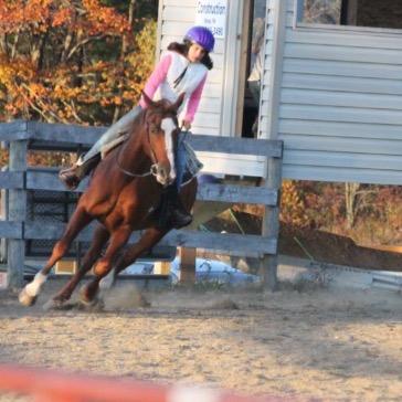Gizzmo is my amazing horse and he eats money and shits out work.... But thats okay cause he's my world