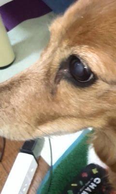 2014年に僕わのいた時間で春馬くんに出会い、2015年にハルマ沼の住人に…
これからも穏やかに、春馬くんのことを想い、春馬くんの作品を愛し生きていきたいと思います。
今の状況では私を新たにフォローしてくださる方へは申し訳ないのですが、フォロバは控えさせていただきます。
とにかく穏やかに春馬くんに寄り添っていきたいので