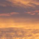 Janet Kunkel - @JanetKunkel - Twitter