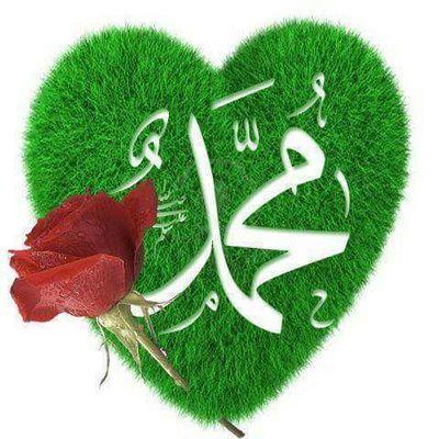 ndorokr's profile picture. 