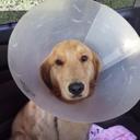 Erin King - @erinmaxmini - Twitter