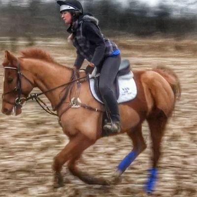 Twerkin out with some boss OTTBs doin' eventing stuff and shit. Area 8