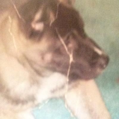 I love puppys. My fav colors is blue purple green black and red. My fav song is uptown funk. My friends are Riley, Haley, Jill, Ally, Floyd,Alex and Trey.
