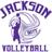 JHSBearsVBall's profile image