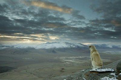 15rochaa's profile picture. follow back